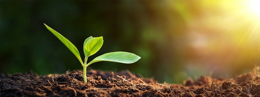 eu-LISA Publishes its Environmental Statement for 2023