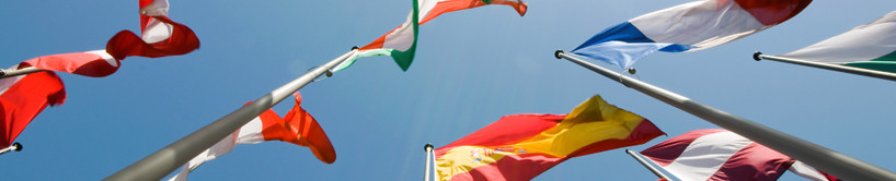 eu-LISA's approach to multilingualism banner eu-LISA's approach to multilingualism banner
