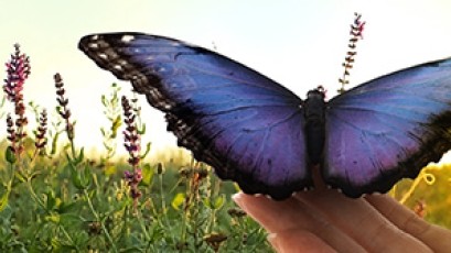 eu-LISA Environmental Statement